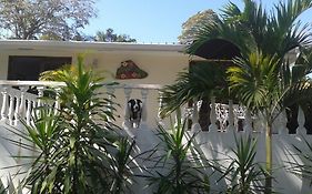 Hibiscus House Bed&Breakfast